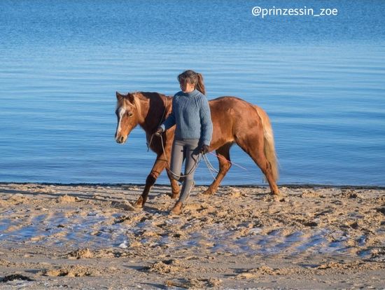 Mädchen mit Pferd am Strand