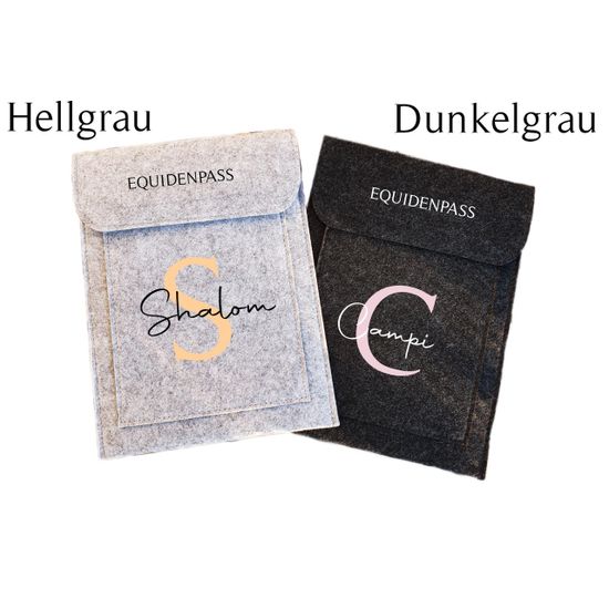 Equidenpass Hülle Hellgrau und Dunkelgrau