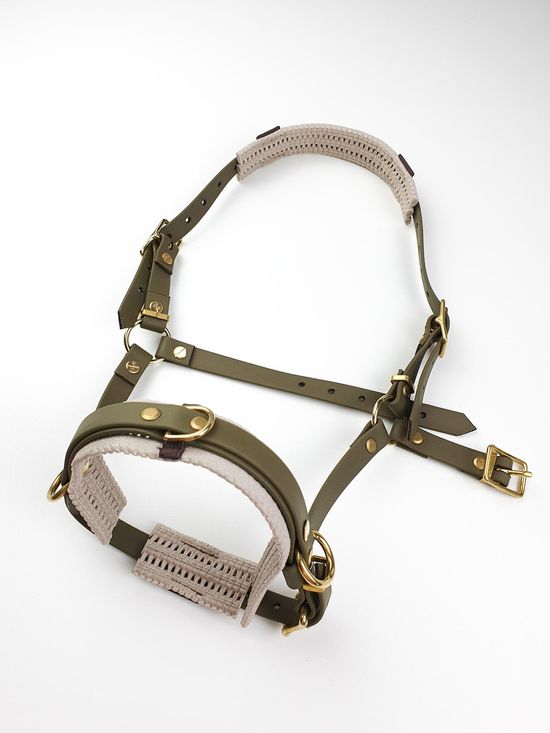 Biothane Kappzaum für Pferde in Olive mit Polstern in Taupe mit goldenen Beschlägen, Kappzaum Shetty, Kappzaum für Shettys