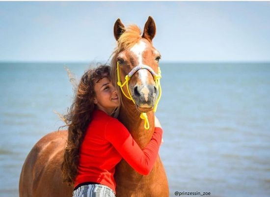Pferd mit Knothalfter in Canary mit Mädchen am Meer