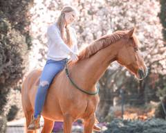 Halsringreiten Pferd, Handgemachter Halsring