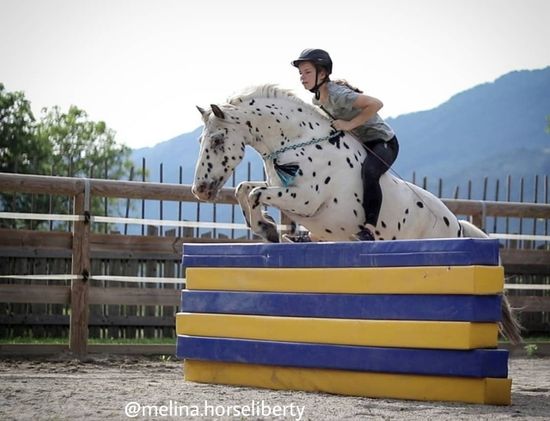 Mädchen auf ihrem Pferd springt über Hindernisse