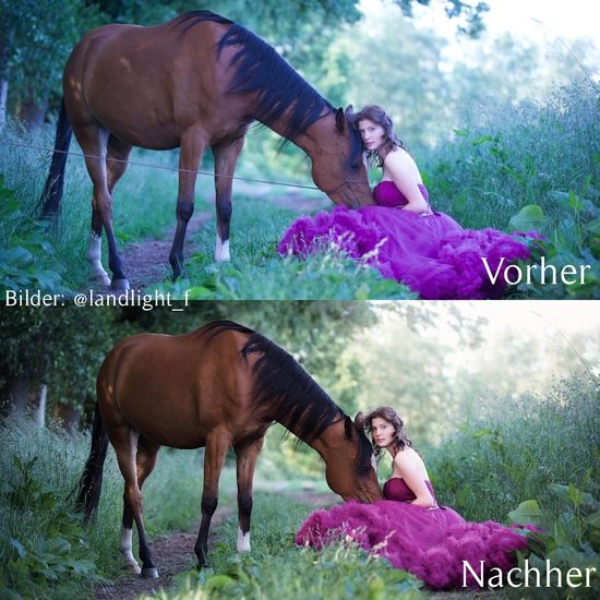 Fotografenhalfter vorher nachher Foto, Mädchen sitzt im Kleid vor dem Pferd